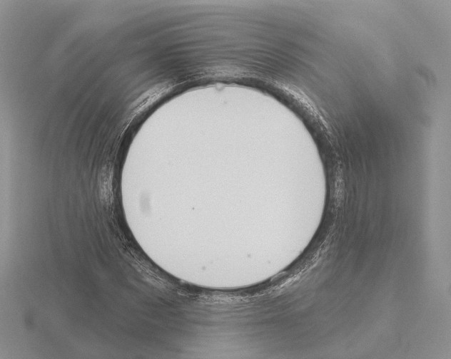X0000115130873200912081303