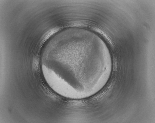 X0000115130874200912081303