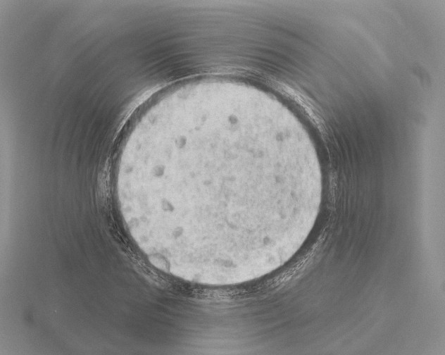 X0000115130875200912081303