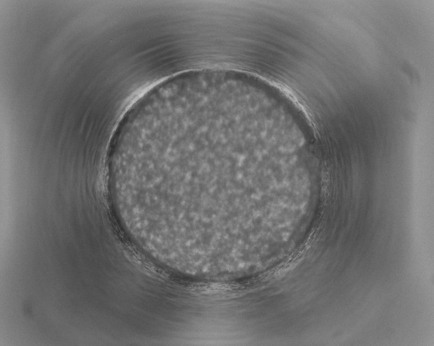 X0000115130879200912081303