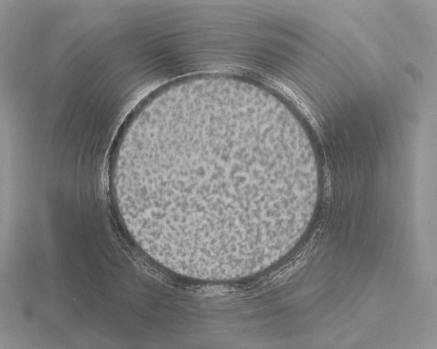 X0000115130883200912081303