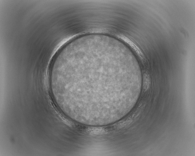 X0000115130886200912081303