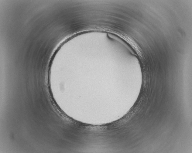 X0000115130896200912081303