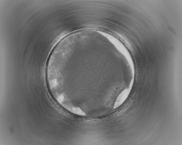 X0000115130899200912081303