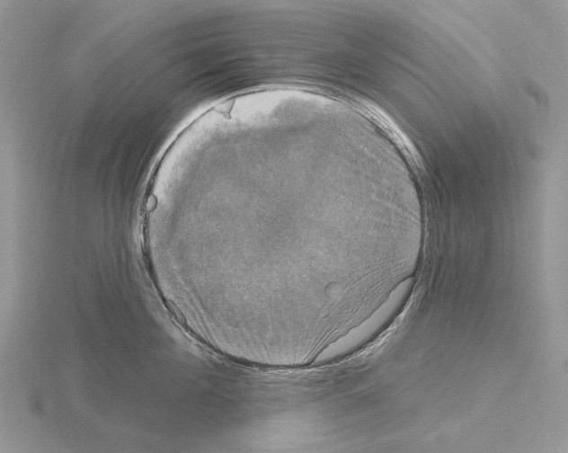 X0000115130908200912081302