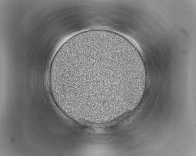X0000115130911200912081302