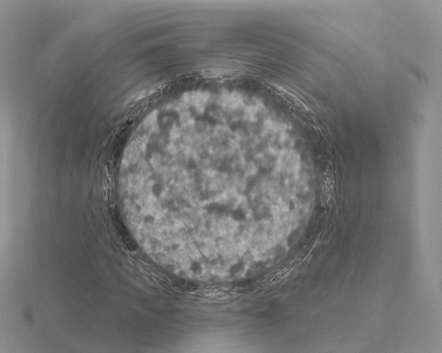X0000115130917200912081302