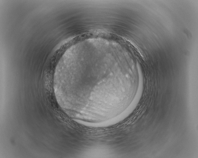 X0000115130919200912081302