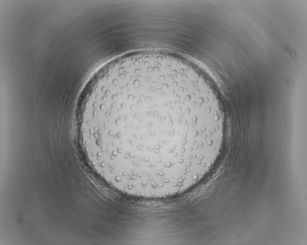 X0000115130927200912081302