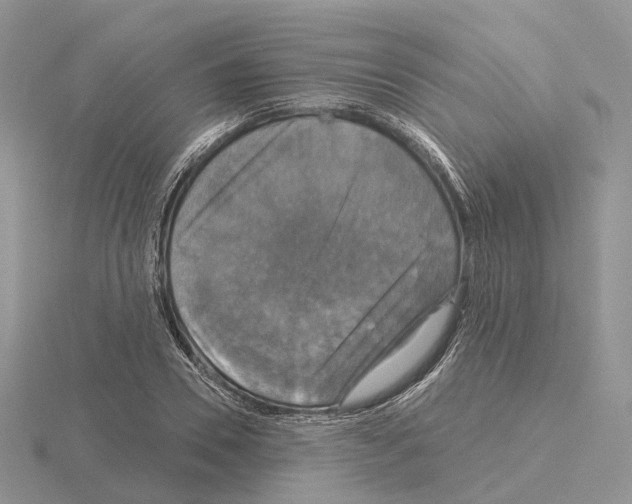 X0000115130930200912081302
