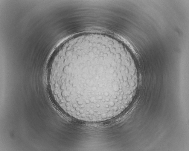 X0000115130931200912081302