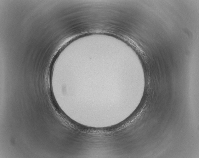 X0000115130934200912081302