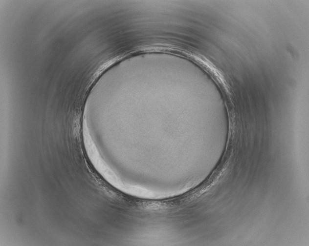 X0000115130945200912081302