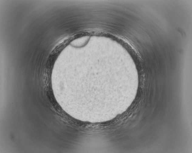 X0000115130967200912081301