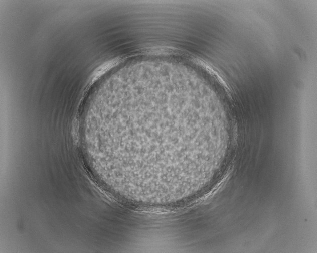 X0000115130970200912081301