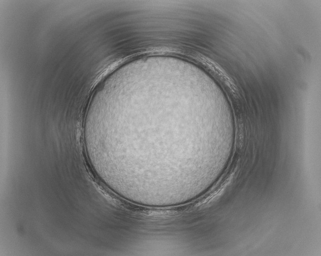 X0000115130985200912081301
