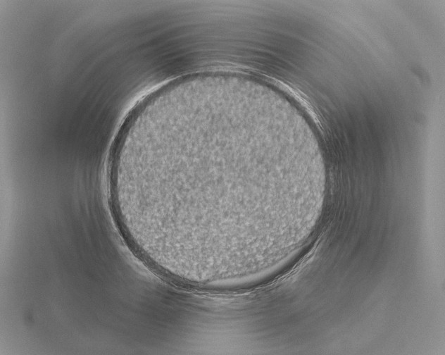 X0000115130987200912081301