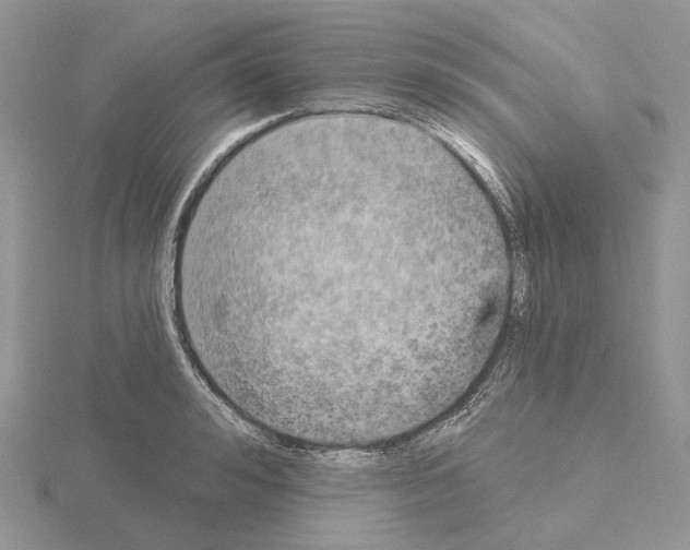 X0000115130992200912081301