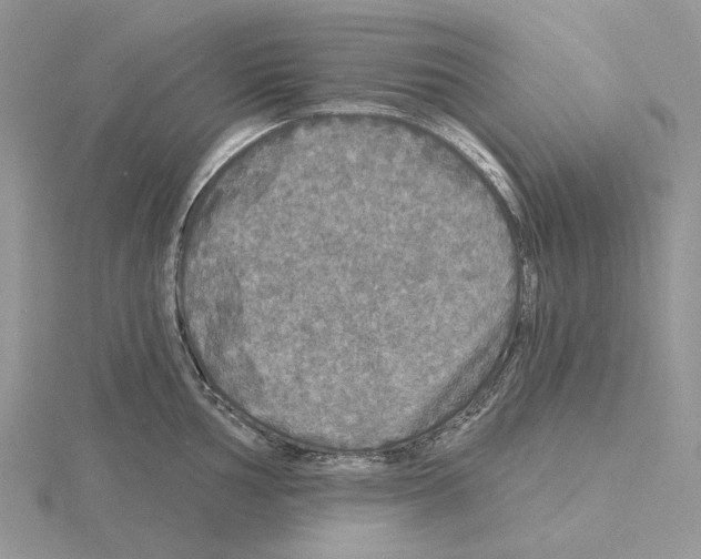 X0000115131002200912081301