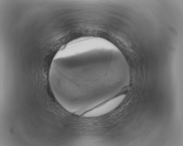 X0000115131013200912081300