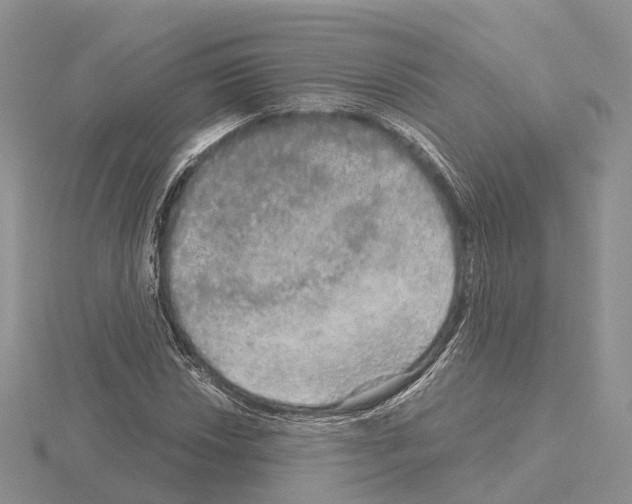 X0000115131018200912081300