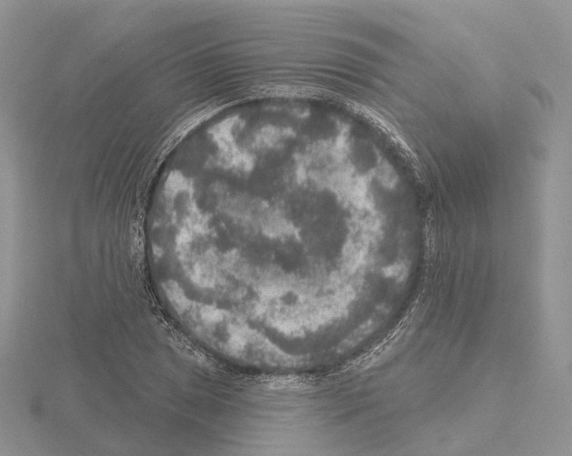 X0000115131025200912081301