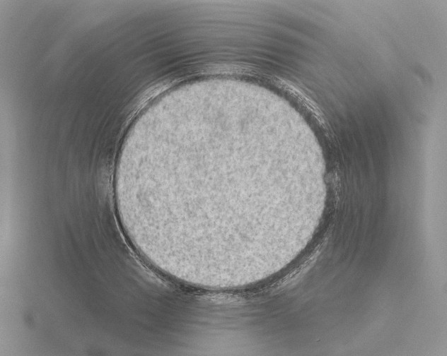 X0000115131033200912081301