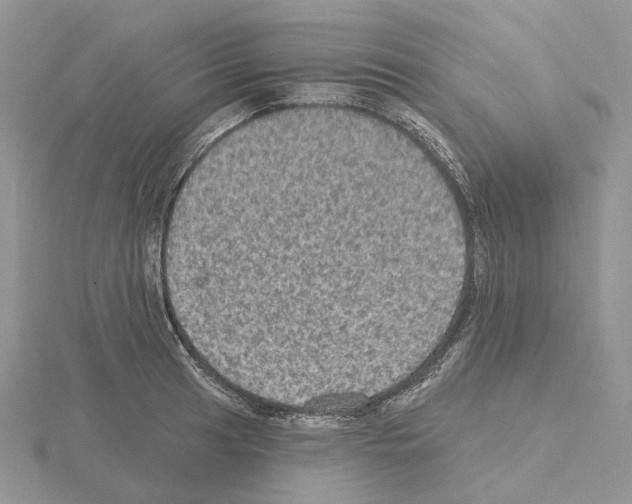 X0000115131041200912081301