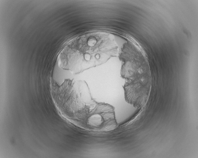 X0000115131049200912081301