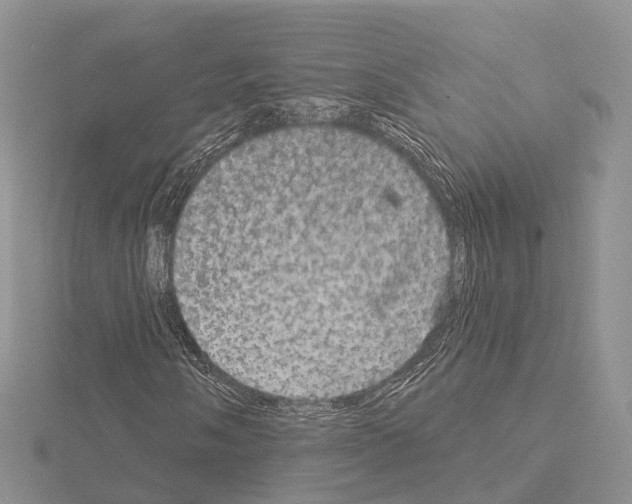 X0000115131058200912081300