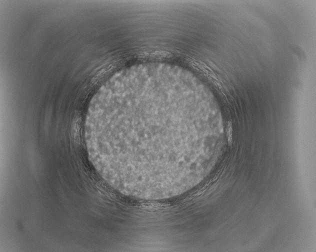 X0000115131059200912081300