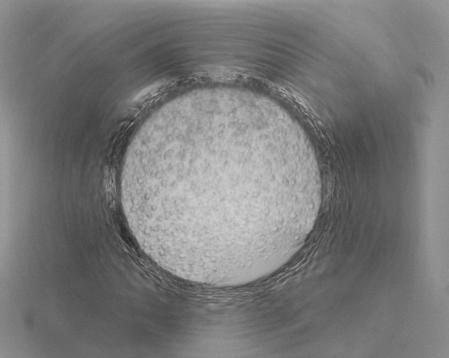 X0000115131062200912081300
