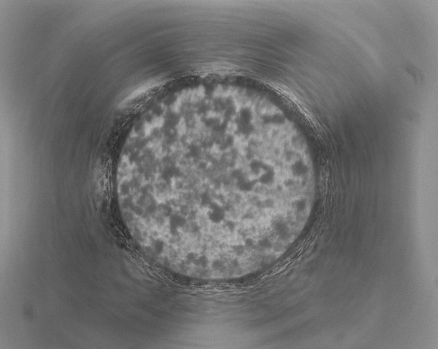 X0000115131063200912081300