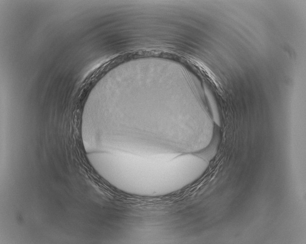 X0000115131064200912081300