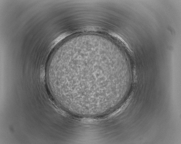 X0000115131065200912081300