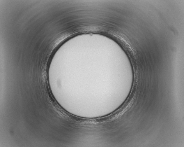 X0000115131073200912081300