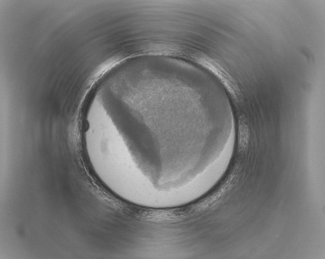 X0000115131074200912081300