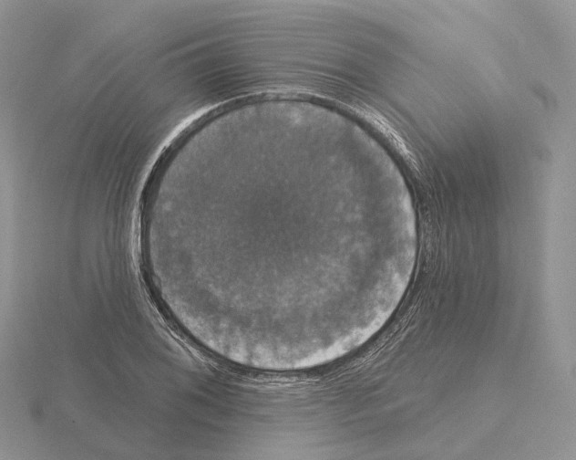 X0000115131076200912081300