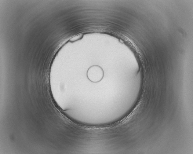 X0000115131081200912081300