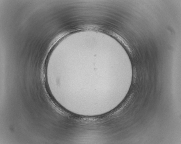 X0000115131082200912081300