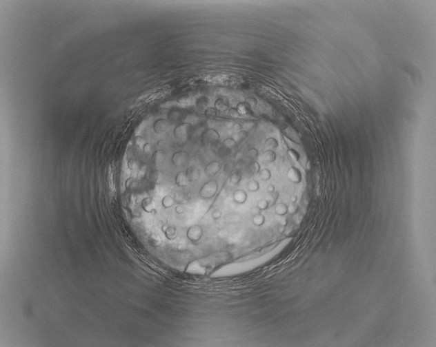X0000115131106200912081259