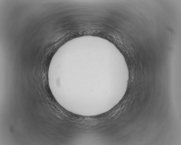 X0000115131109200912081259