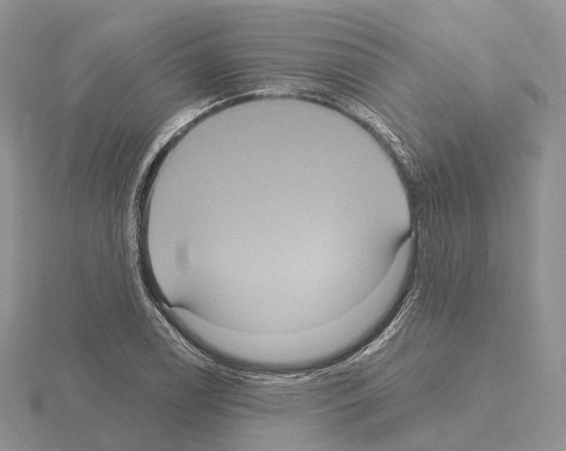 X0000115131122200912081259