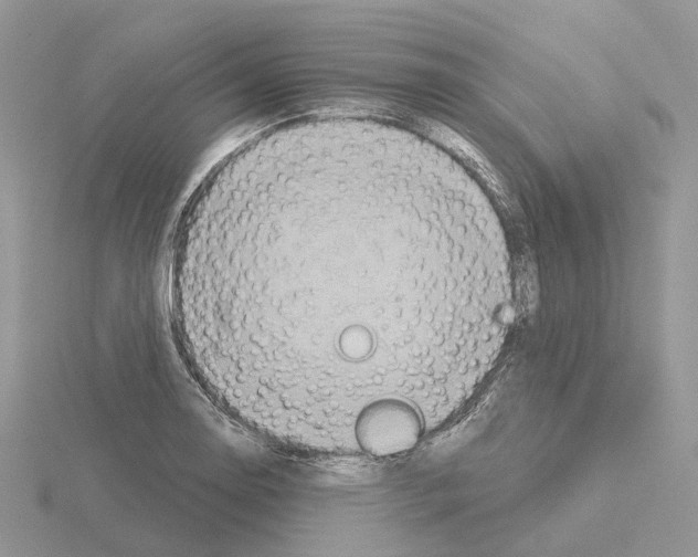 X0000115131130200912081259