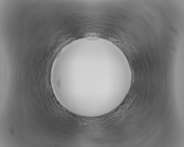 X0000115131153200912081259