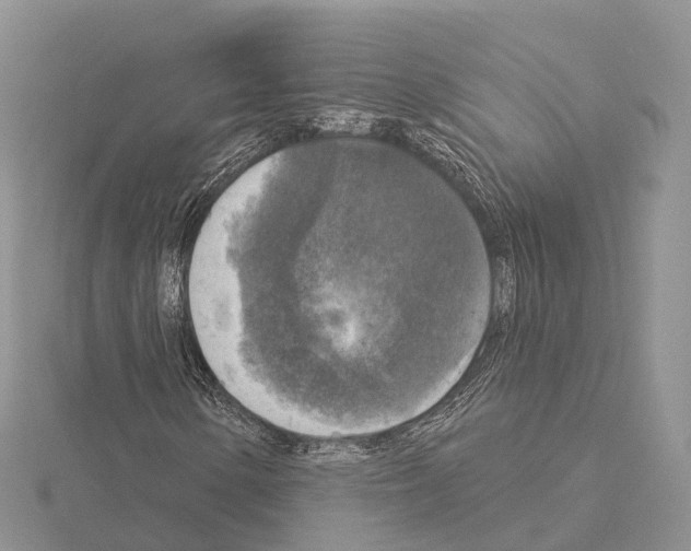 X0000115131154200912081259