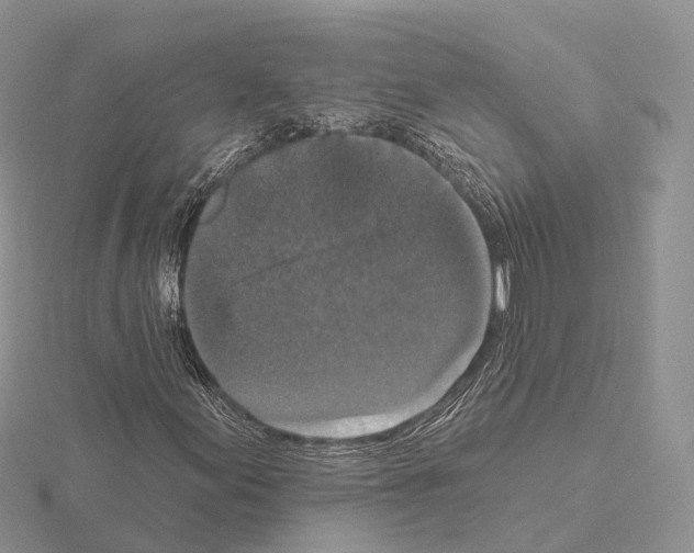 X0000115131155200912081259