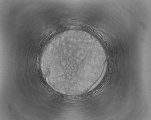 X0000115131156200912081259