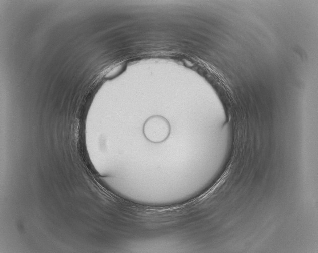 X0000115131161200912081259