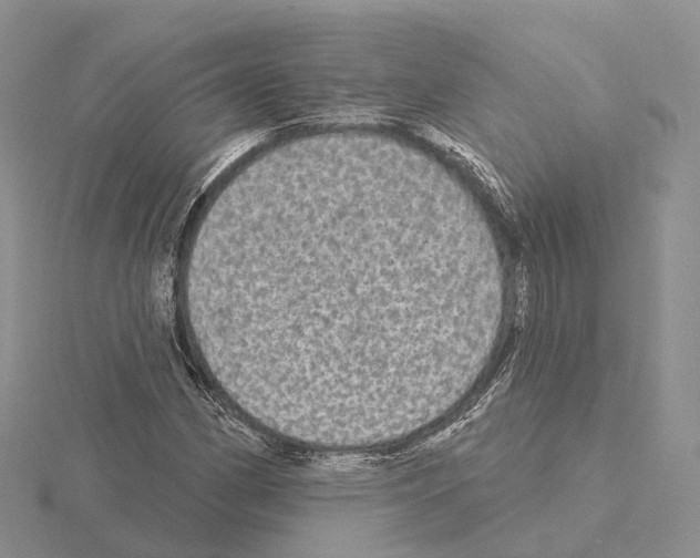 X0000115131162200912081259
